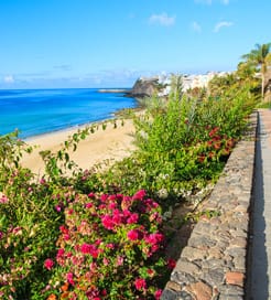 Fuerteventura